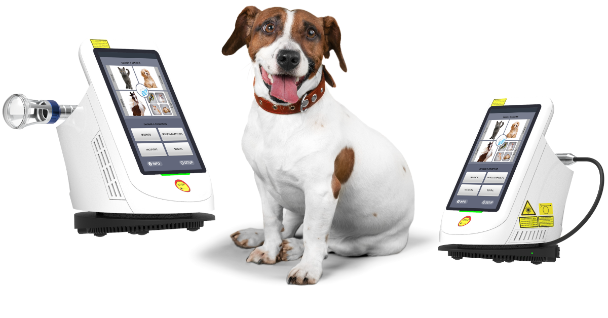 Supra Therapy Laser Quad with Comprehensive Training